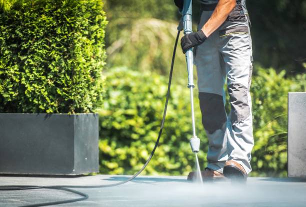 Animal Enclosure Cleaning in Tolar, TX